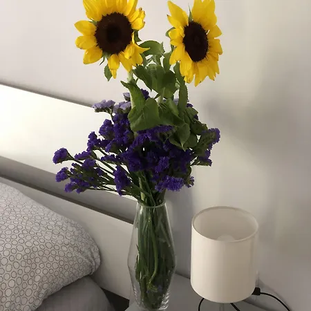 Easyhomeinnaples Napels